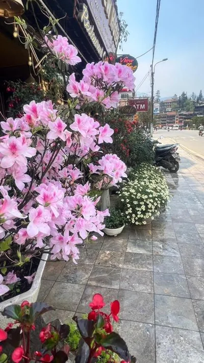 Sapa Lake View Hotel – Fotos 15